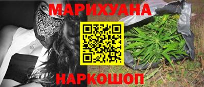 мет Кингисепп