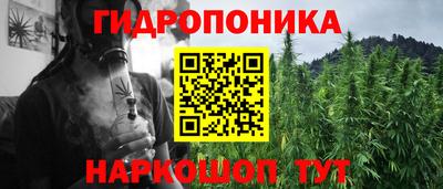 мет Кингисепп