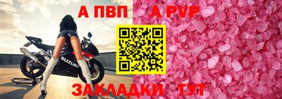 мет Кингисепп