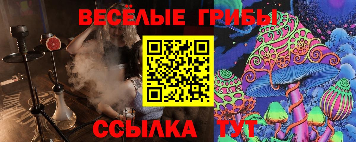 где продают   Галлюциногенные грибы мицелий  Вход с VPN  Зерноград 